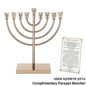 פריץ תת0110 חנוכיית מתכת עם ראשי קריסטל 36 ס"מ